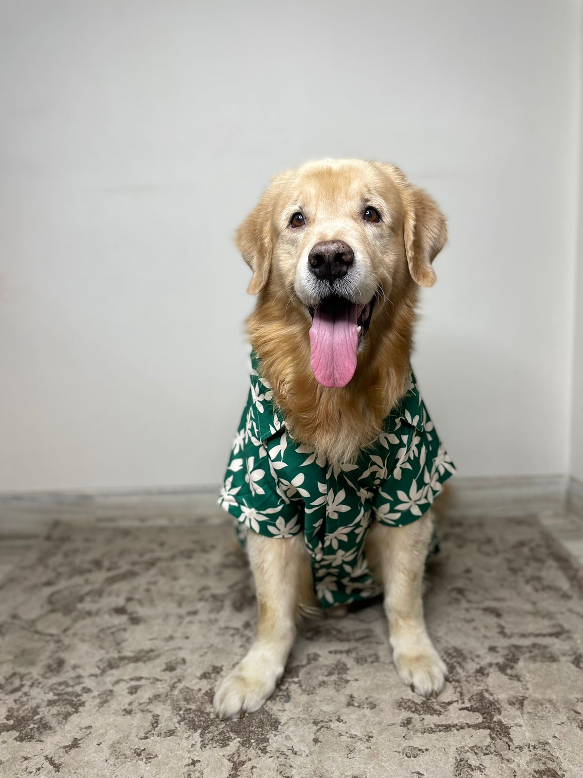 ADog Clover Shirt