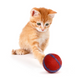 Petsport Kitty Fun Balls Assorted