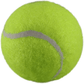 Petsport Catnip Ball 2PK