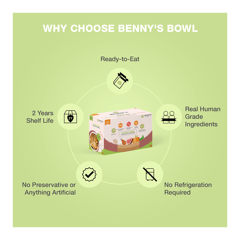 Benny's Bowl  Assorted Combo (300gm) - (Value Pack Of 15)