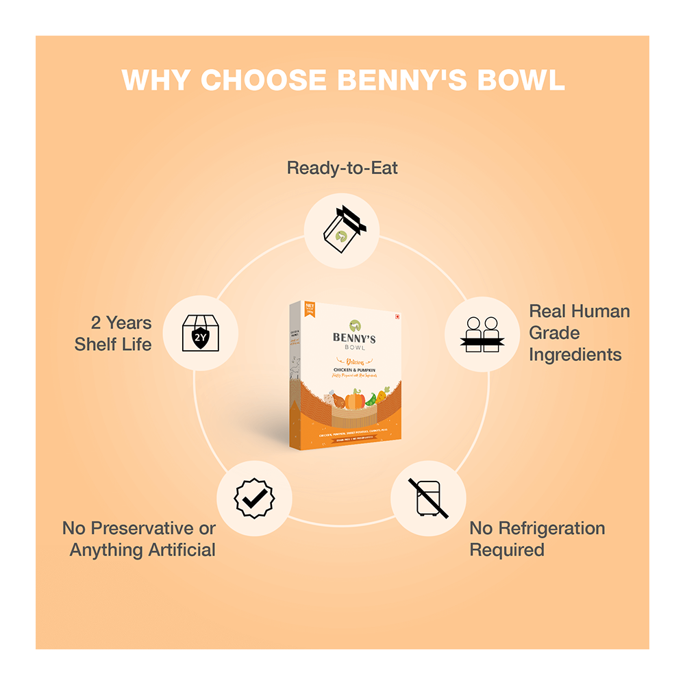 Benny's Bowl Chicken & Pumpkin (300gm) - (Pack Of 15)