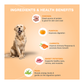 Benny's Bowl Chicken & Pumpkin (300gm) - (Pack Of 15)