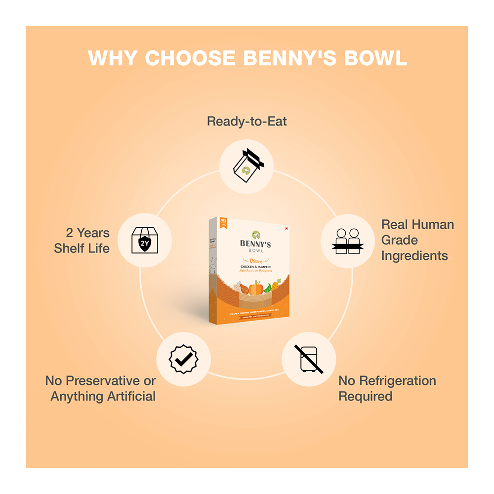 Benny's Bowl Chicken & Pumpkin (300gm)