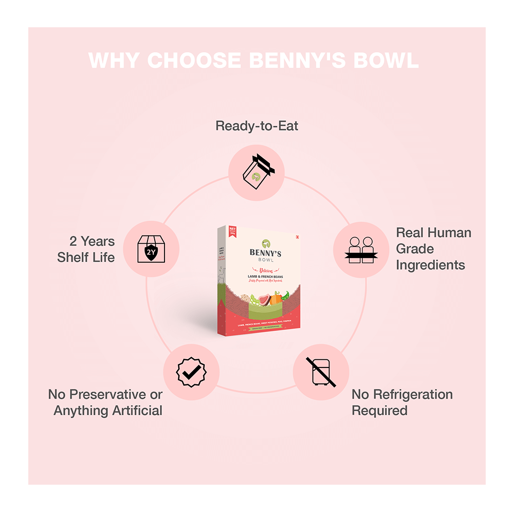 Benny's Bowl Lamb & French Beans (300gm) - (Pack Of 15)