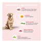 Benny's Bowl Lamb & French Beans (300gm) - (Pack Of 30)