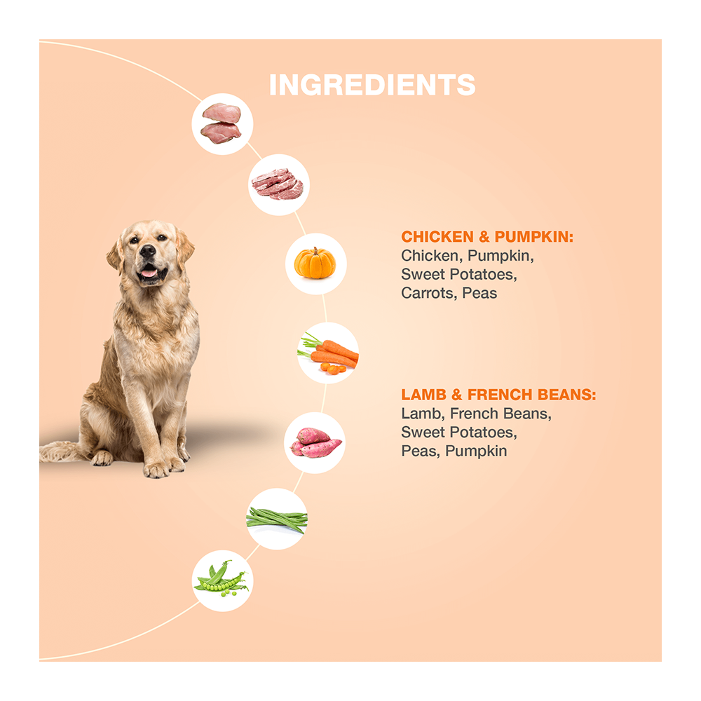 Benny's Bowl Non-Veg Combo - Value Pack Of 15 (300gm)