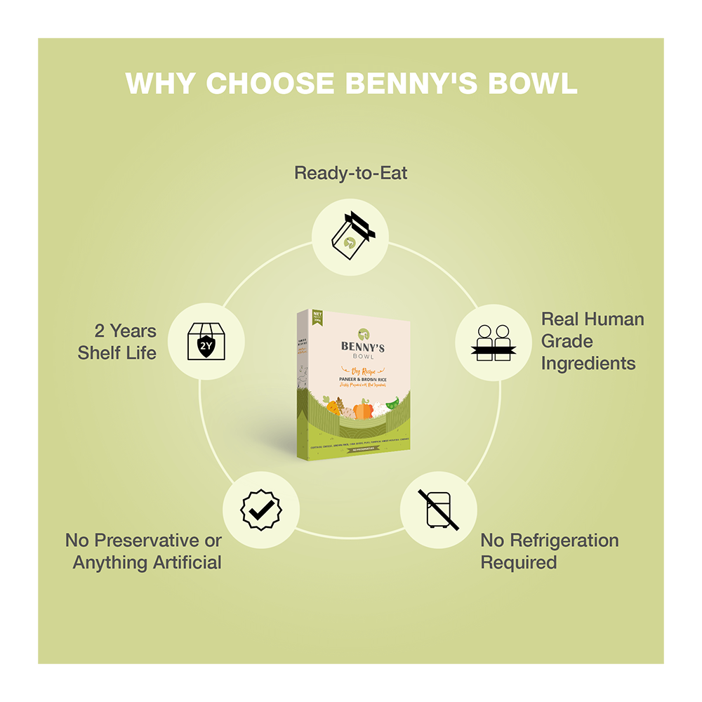 Benny's Bowl Paneer & Brown Rice (300gm) - (Pack Of 15)
