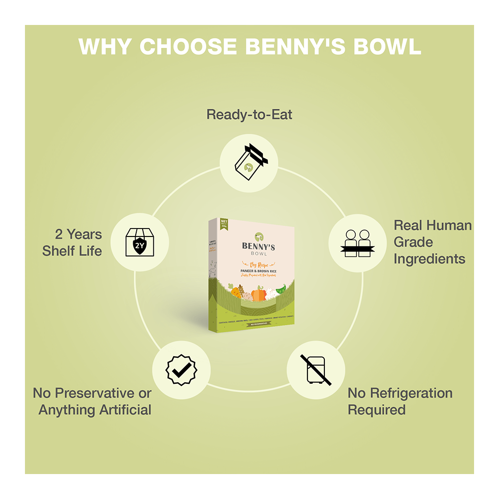 Benny's Bowl Paneer & Brown Rice (300gm) - (Pack Of 30)