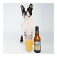 WOOF&BREW Bottom Sniffer Beer