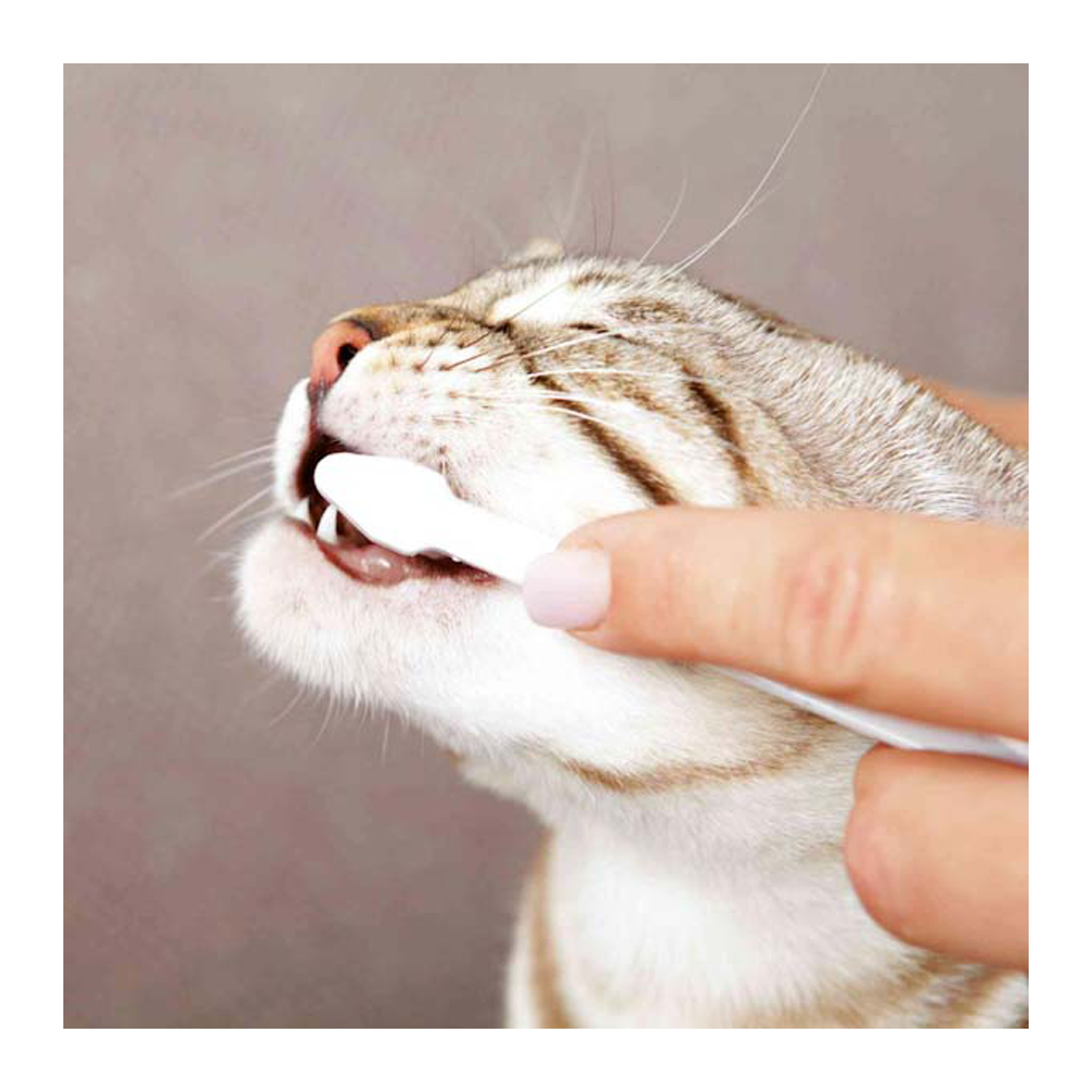 Trixie Cat Dental Hygiene Set