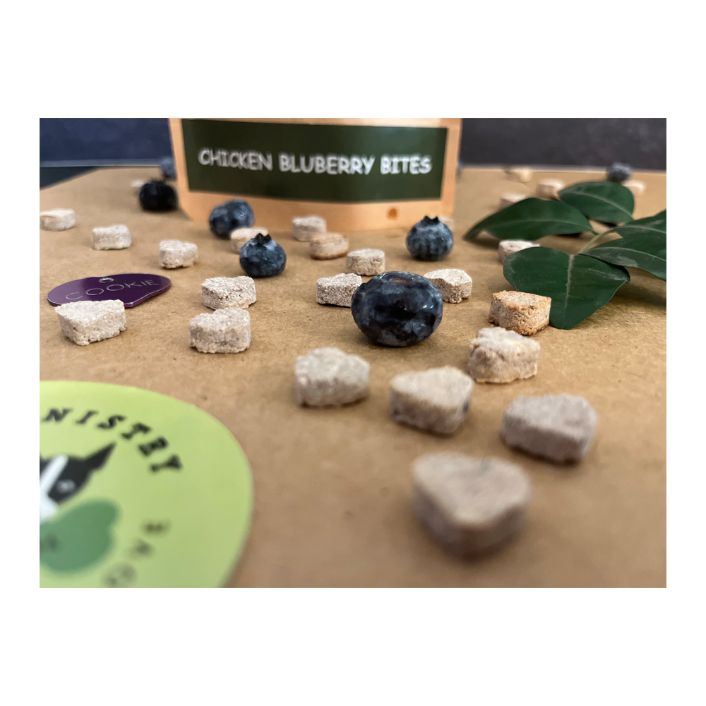 Woof Ministry Chicken Blueberry Bites (100gms)