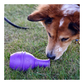 Kong Genius (L) (Assorted Colours)
