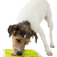 Trixie Lick N Snack Platter TPR/PP