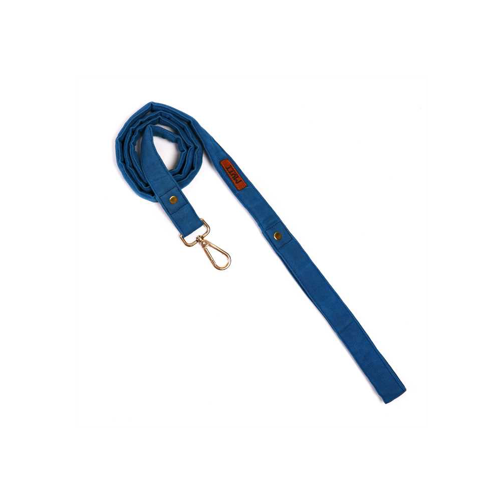 Mutt Of Course Blueberry Leash
