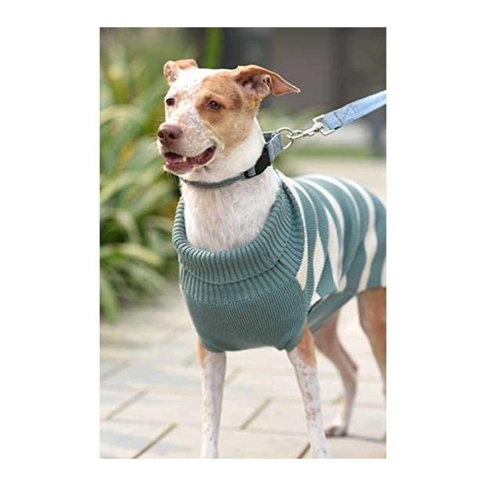 Mutt Of Course Green Striped Turtleneck Sweater