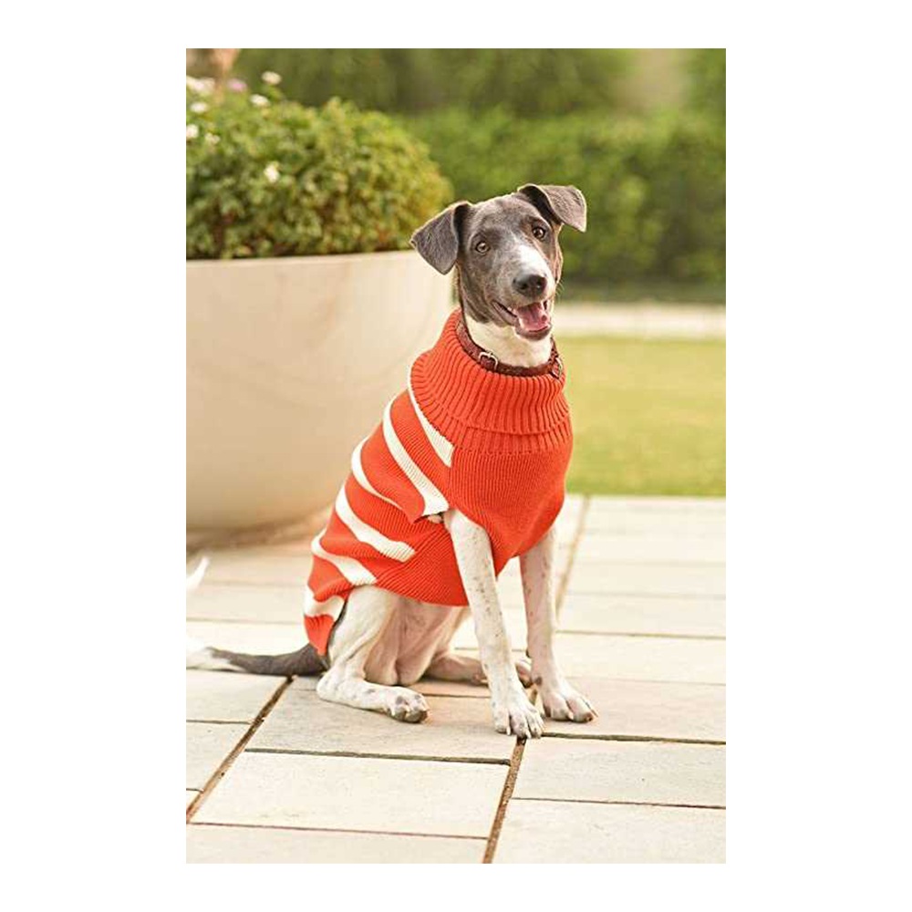 Mutt Of Course Orange Striped Knitted Turtle Neck