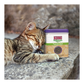 Kong Naturals Premium Catnip (28.3g)