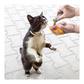 Kong Naturals Premium Catnip (28.3g)