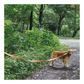 Fur Buddies Orange Neon 20-feet dual-reflective Long Lines