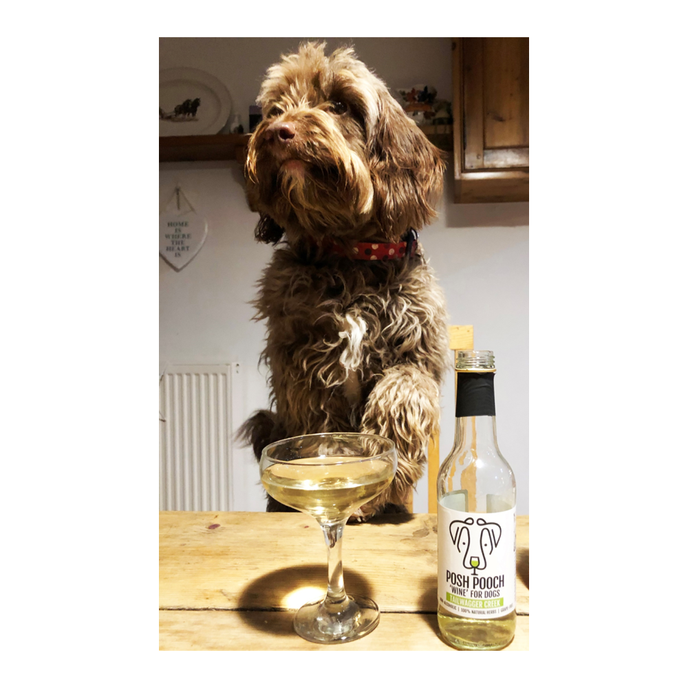Woof&Brew Posh Pooch White Wine For Dogs (250ml)