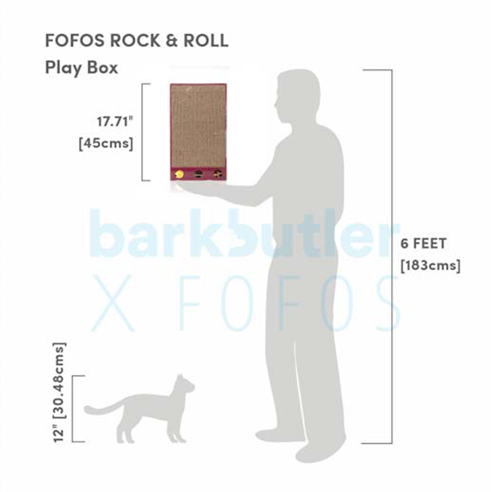 Bark Butler FOFOS Rock N Roll Play Box