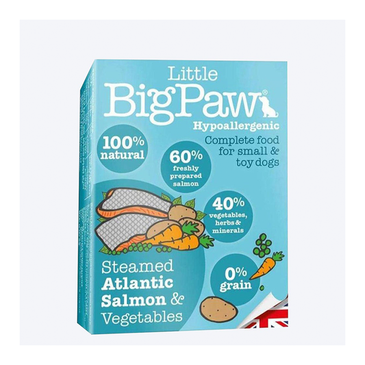Little Big Paw - Salmon & Vegetable Terrine (150g) - (Pack of 7 Trays)