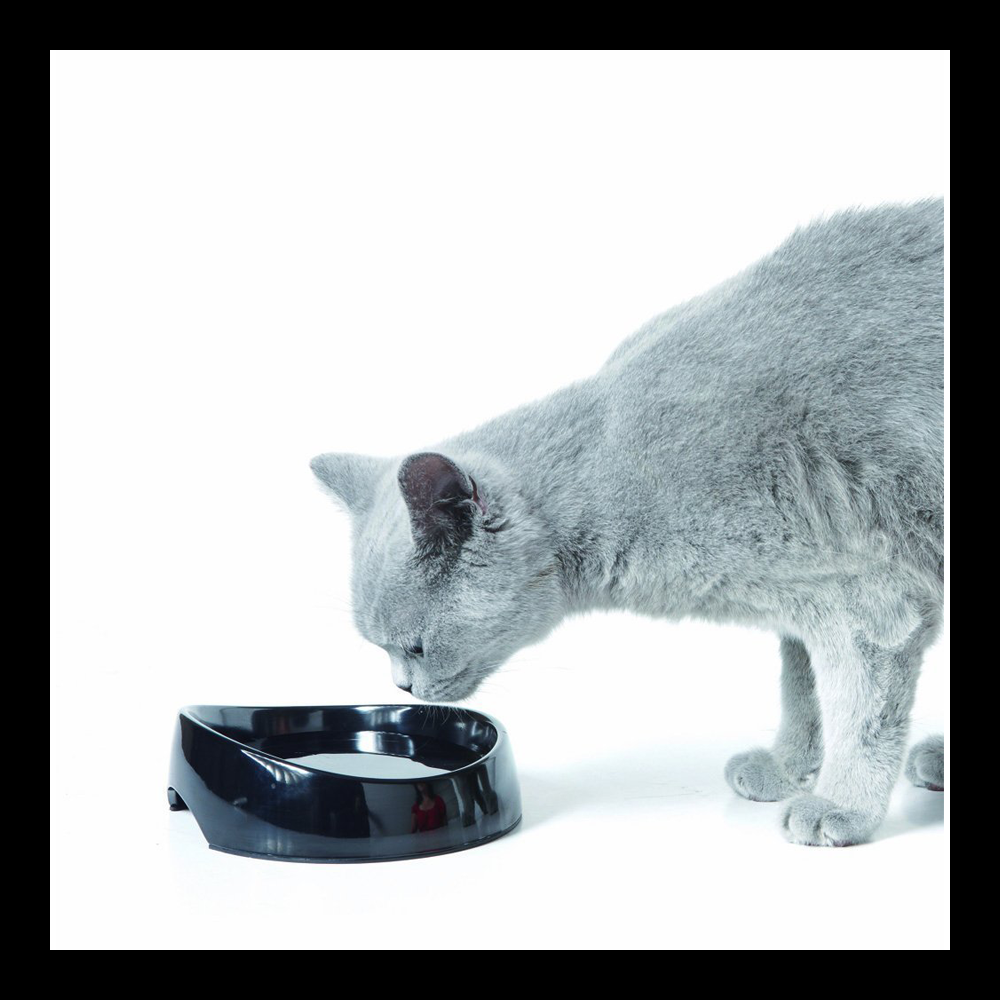 Savic Whisker Water, Functional Cat Water Bowl