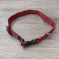 Fur Buddies Brick Orange Collar