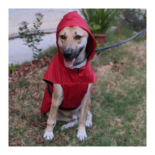 Mutt of Course - Red Raincoat